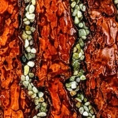 Alvsten Ponderosa bark table sculpture, square detail view.